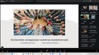 LGA 29-oji konferencija (2026 05 23)